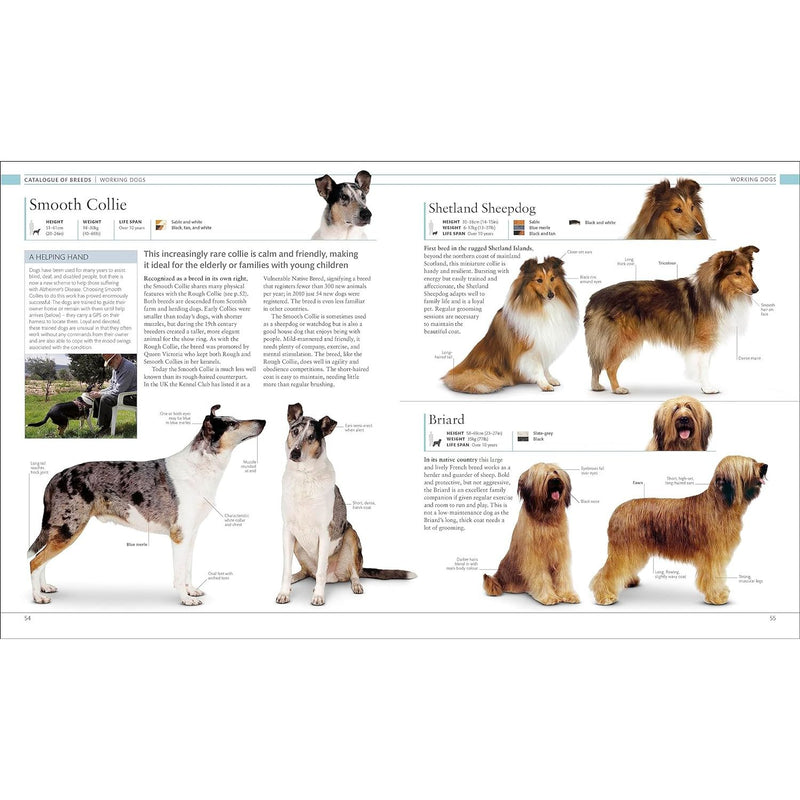 Guide dogs clearance catalogue