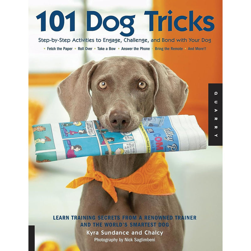 ["101 Dog Tricks", "9781592533251", "dog", "dog care", "dog training", "dog training book", "dog training guide", "dog tricks", "dogs", "Hobbies", "Kyra Sundance", "Kyra Sundance books", "Kyra Sundance dog training", "Kyra Sundance set", "Pets", "Sports", "Sports and Hobbies", "Step By Step", "step by step guide"]