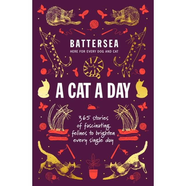 ["9780678463581", "9781802797077", "9781802797084", "Animal Rights", "Anthologies", "Battersea Dogs and Cats Home", "Battersea Dogs and Cats Home A Cat a Day 365 stories of fascinating felines to brighten every day", "Battersea Dogs and Cats Home A Dog a Day 365 stories of fascinating felines to brighten every day", "cat", "Cat Care Book", "Cat Care Books", "Cats & Big Cats", "DK Children's Anthologies", "dog", "dog care book", "Dog-Keeping", "Dogs & Wolves", "Fiction Anthologies", "pet"]