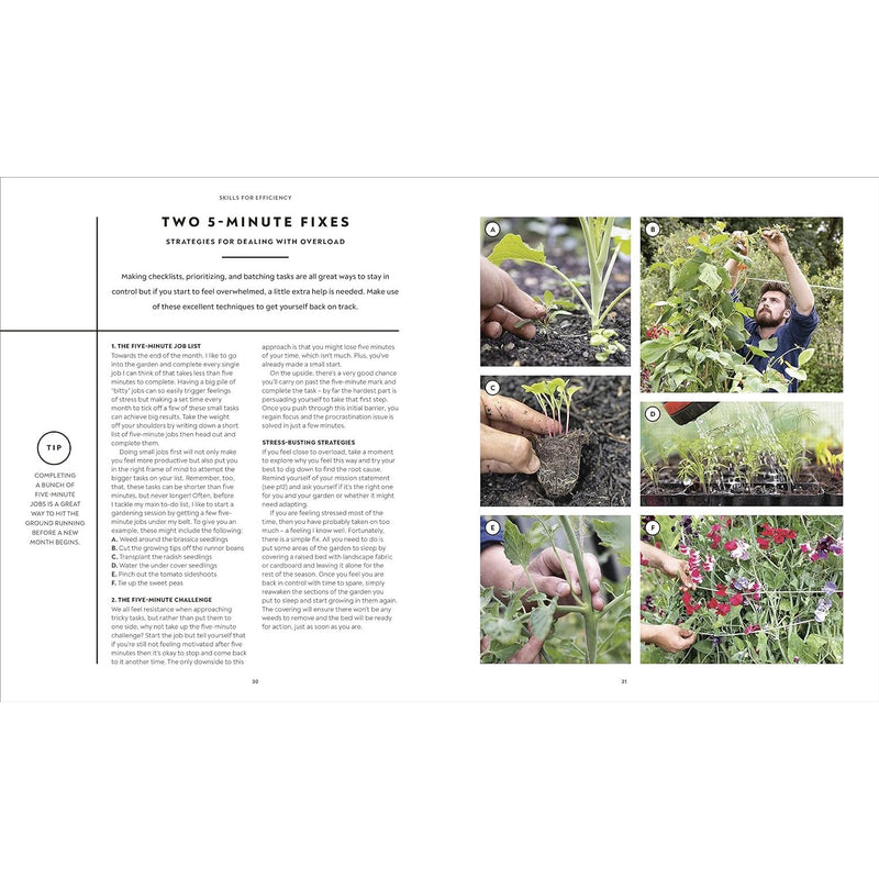 ["9780241481325", "Container gardening", "Gardening", "gardening book", "gardening books", "gardening guide", "Gardening Soil Science", "Gardening: growing fruit & vegetables", "Gardening: herbs", "Gardens", "Gardens in Britain", "Green lifestyle & self-sufficiency", "Herb Gardening", "home gardening books", "horticultural handbook", "house plant gardening", "House Plant Gardening book", "Huw Richards", "indoor gardening", "Indoor Gardening book", "Landscape Gardening", "Organic & Sustainable Gardening & Horticulture", "organic gardening", "outdoor gardening book", "Reference works", "Sustainability", "The Vegetable Grower's Handbook: Unearth Your Garden's Full Potential", "Urban Gardens", "veg-growing guide"]