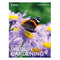 ["9780711281288", "chris baines", "Garden", "garden design", "Garden Design & Planning", "garden design books", "garden planning", "garden planning books", "Garden Plants", "Gardening", "gardening book", "gardening books", "Gardening guide", "Gardens", "Home and Garden", "home garden books", "home gardening books", "house plant gardening", "House Plant Gardening book", "How to Garden", "How to Garden series", "indoor gardening", "Indoor Gardening book", "Landscape Gardening", "Nature & Wildlife", "organic gardening", "Rhs", "rhs companion to wildlife gardening", "rhs wildlife gardening", "the secret garden", "Wildlife"]